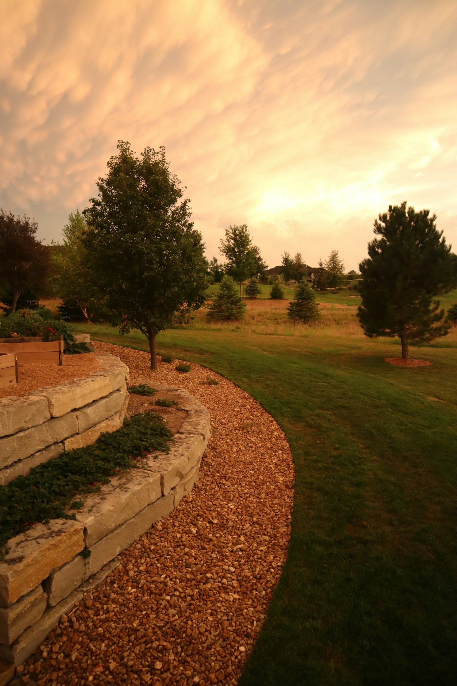 Safety First Essential Tips For Tree Maintenance