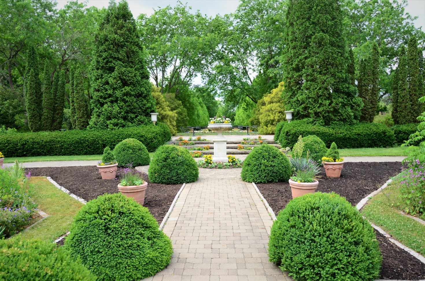 Understanding The Benefits Of Professional Tree Pruning